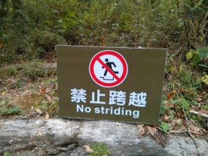 no striding
