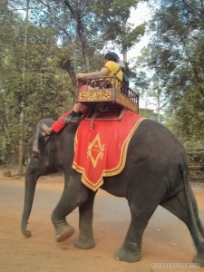 Angkor Archaeological Park - elephant 2