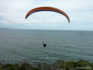 Australia random encounters - paragliding in air