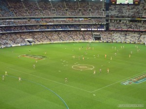 Australian football - birds