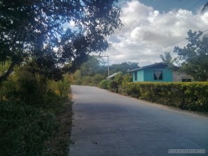 Bohol - panglao road 1