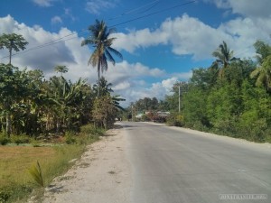 Bohol - panglao road 2