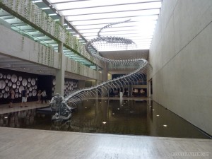 Brisbane - gallery of modern art 1