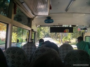 Bus to Moalboal