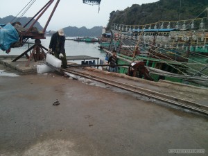 Cat Ba - bike tour ice factory