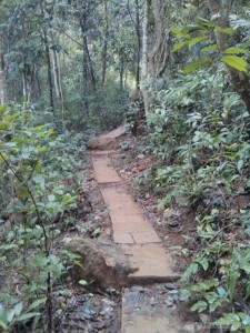 Cat Ba - bike tour national park hike 1