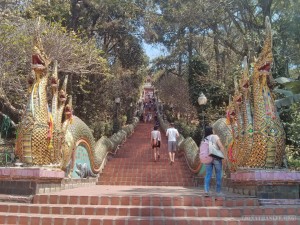 Chiang Mai - Wat Doi Suthep stairs