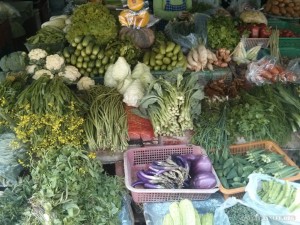 Chiang Mai - cooking class vegetable introduction