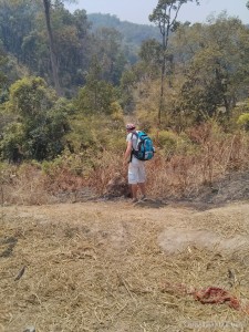 Chiang Mai trekking - ant hill poking