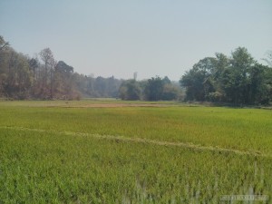 Chiang Mai trekking - day 3 scenery 2