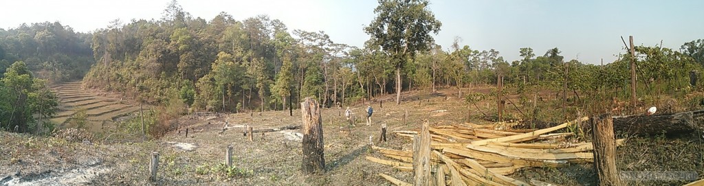 Chiang Mai trekking - panorama view