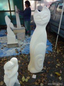 Christchurch - Riccarton market cats