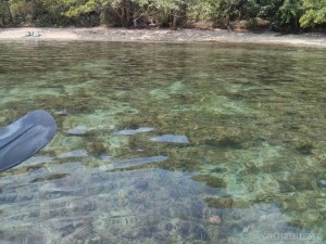 El Nido - kayaking clear water 1