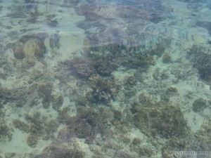 El Nido - kayaking clear water 2