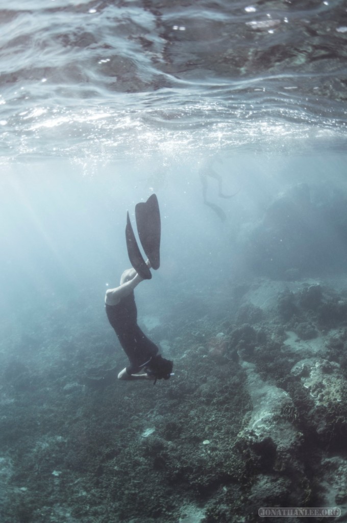 Freediving Koh Tao - diving 1