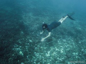 Freediving Koh Tao - diving 2