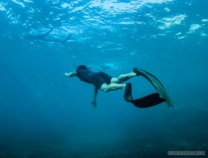 Freediving Koh Tao - diving 4