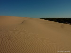 Gold Coast - Port Stevens sand dune