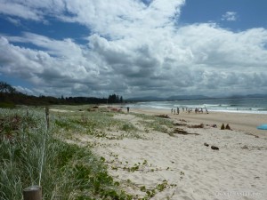 Gold Coast - Port Stevens scenery 1