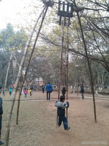 Ethnology museum swing