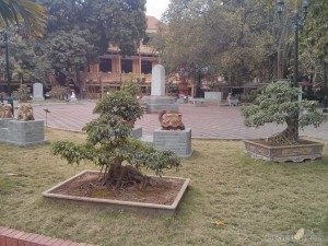 Hanoi - history museum garden 1