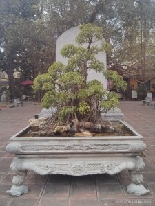 Hanoi - history museum garden 2