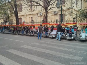 pedicab line 1