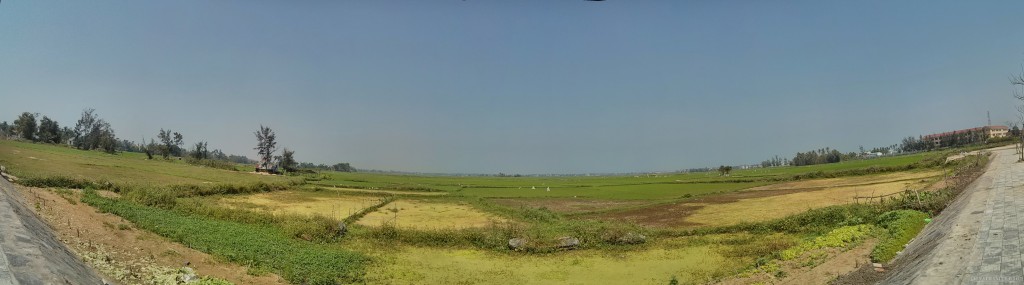 Hoi An - panorama rice fields 1