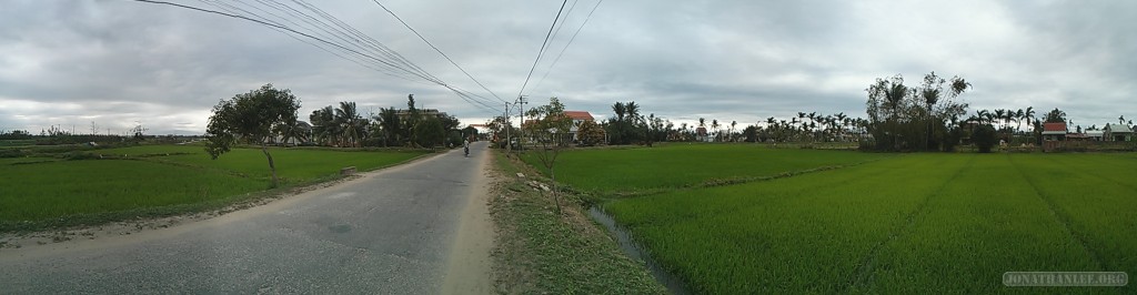 Hoi An - panorama rice fields 2