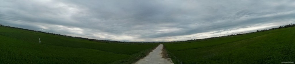 Hoi An - panorama rice fields 3