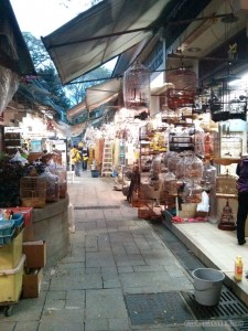 Hong Kong - bird market