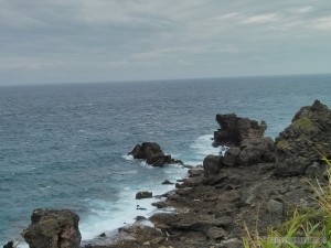 Kenting - Maobitou cat