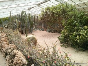 Kenting - forest recreation area desert plants