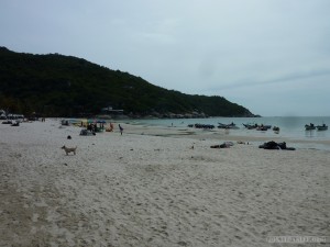 Koh Phangan - Full Moon day afterwards