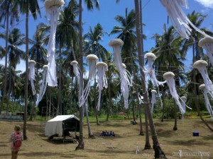 Koh Tao - Koh Tao festival jellyfish