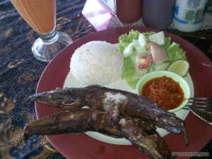 Kuta Bali - catfish with rice