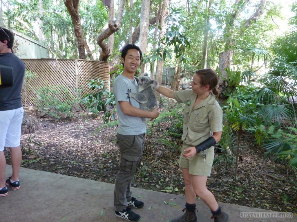 Lona Pine Sanctuary - hugging a koala