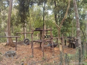 Luang Prabang - Kuang Si bear rescue 2