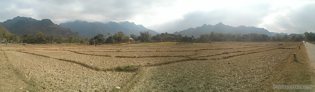 Mai Chau - panorama rice fields 6