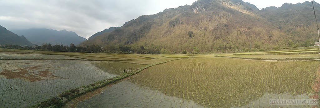 Mai Chau - panorama rice fields 7