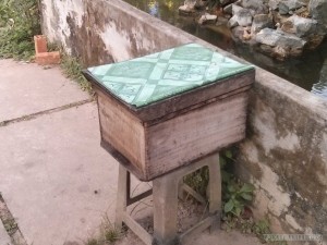 Mekong boat tour - honey bees