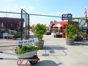 Melbourne - pop up gardens