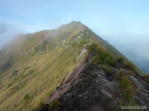 Mount Batur - mountain trail 4