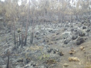 Mount Rinjani - day three view 3