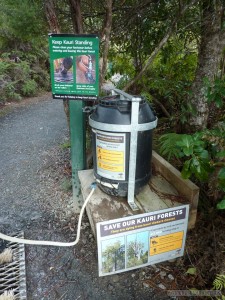 NZ North Island - Waipoua National Park Kauri tree protection