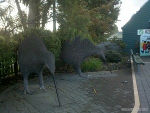 NZ North Island - giant kiwis