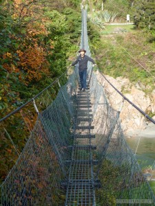 NZ South Island - Buller Gorge swingbridge portrait