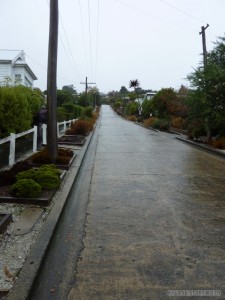 NZ South Island - Dunedin steepest road 1