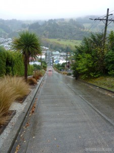 NZ South Island - Dunedin steepest road 2