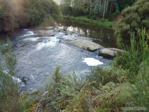 NZ South Island - Niagra Falls 1